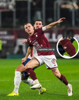 PARASTINCHI IN SPUGNA PRO SLIM MODELLO “ALTERNATIVE”